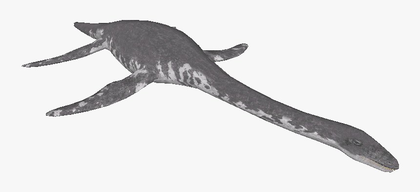 Loch Ness Monster Png - Marine Invertebrates, Transparent Png