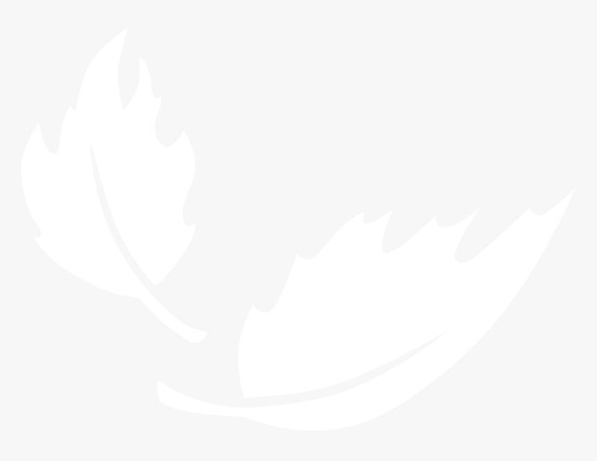 Ness Walk Leaf Logo - Illustration, HD Png Download