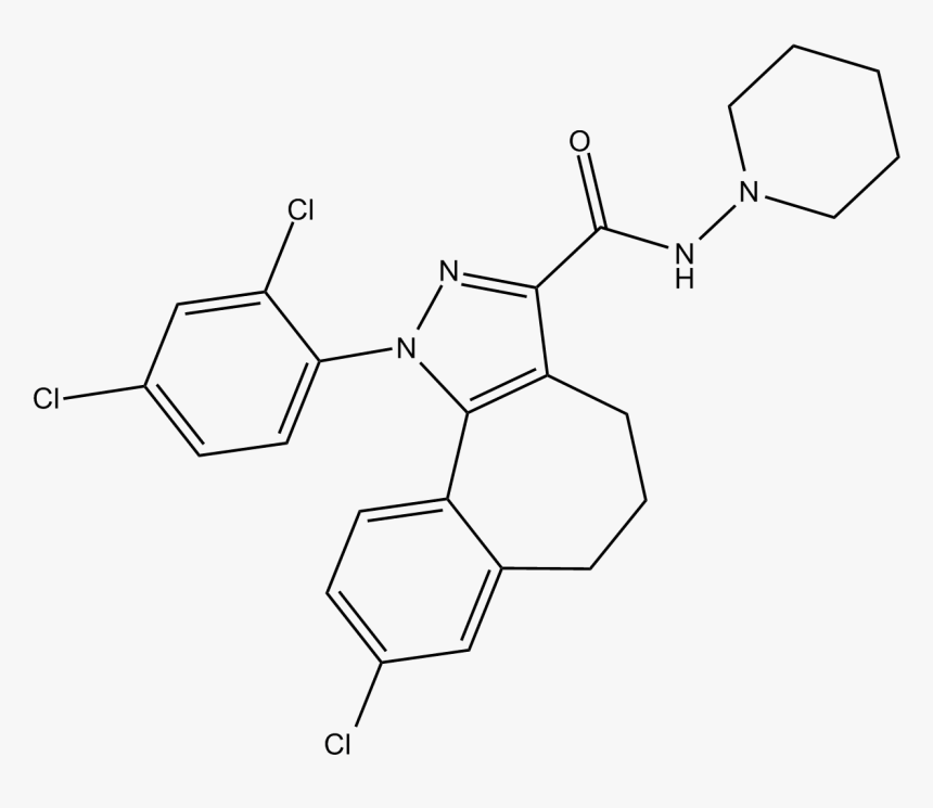 Diagram, HD Png Download