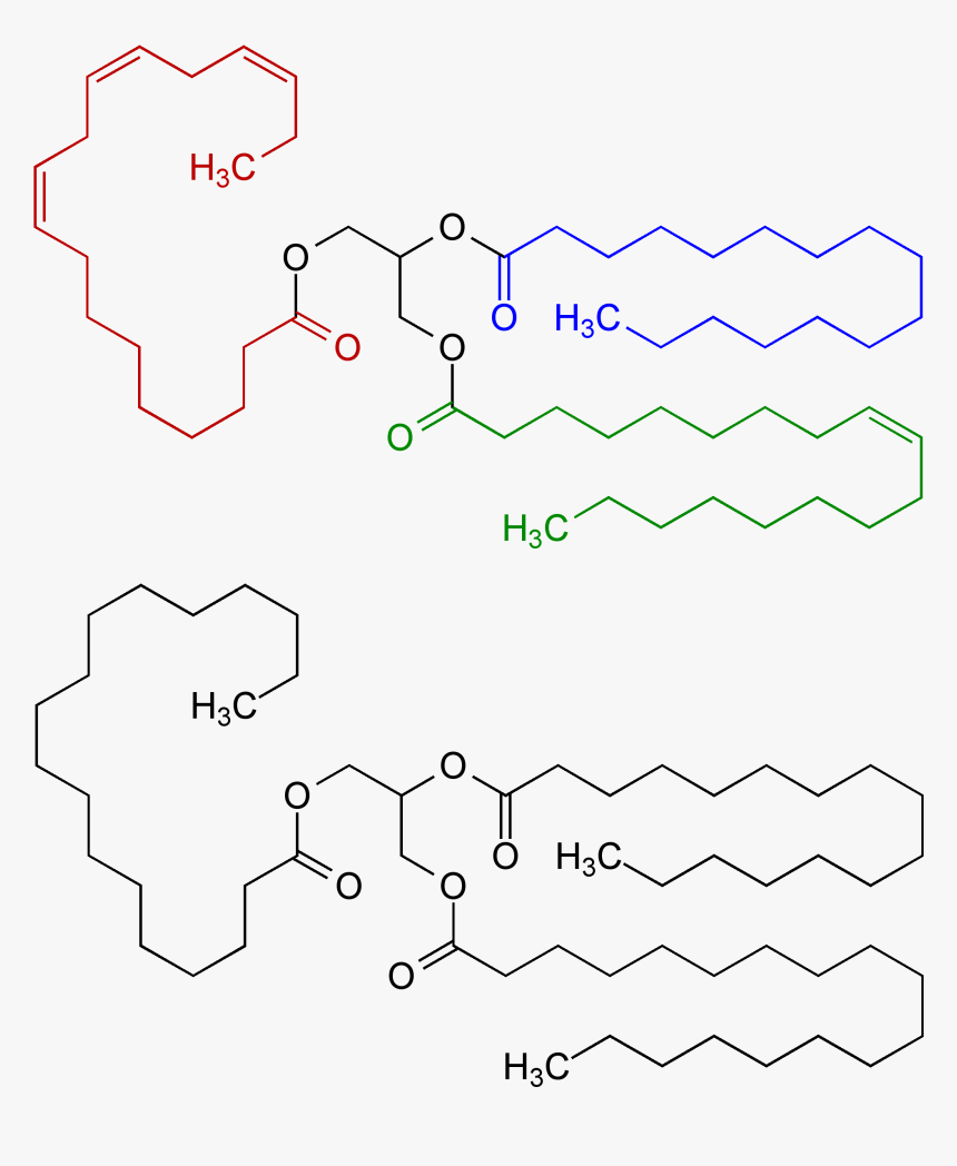 Fat Oil Chemical Structure V - Verderb Von Fetten Chemie, HD Png Download