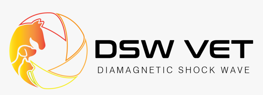 Dsw Vet Diamagnetic Shockwave - Parallel, HD Png Download