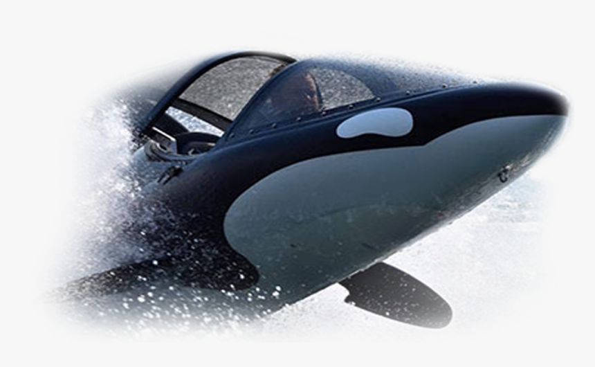 Killer Whale, HD Png Download