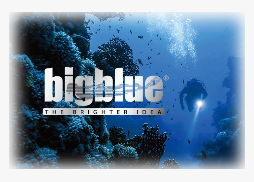 Zero 2019 Visual Image4 - Diver, HD Png Download