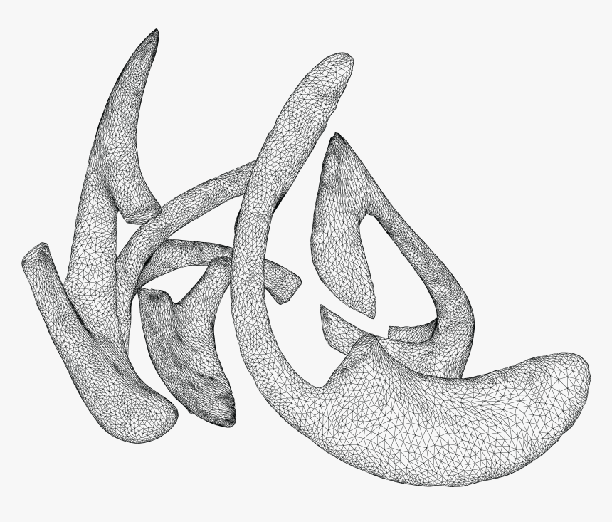 3d Scan - Illustration, HD Png Download