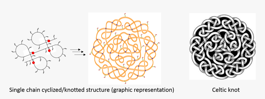 Single Chain Cyclized Knotted Polymer Vs Celtic Knot - Illustration, HD Png Download
