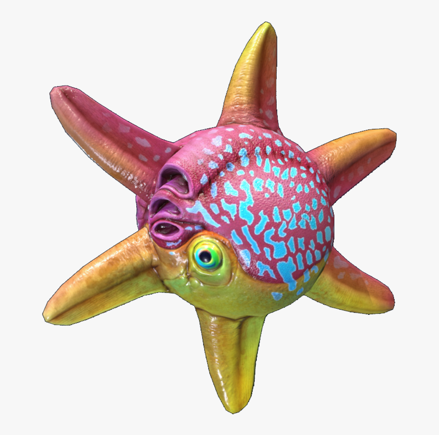Spinnerfish, HD Png Download
