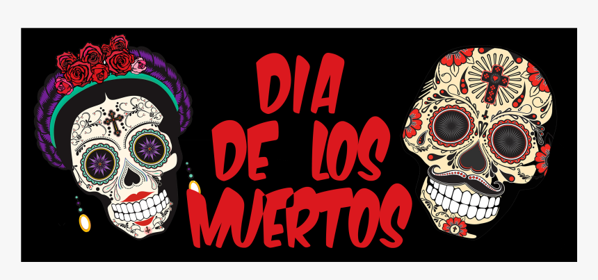 Skull, HD Png Download