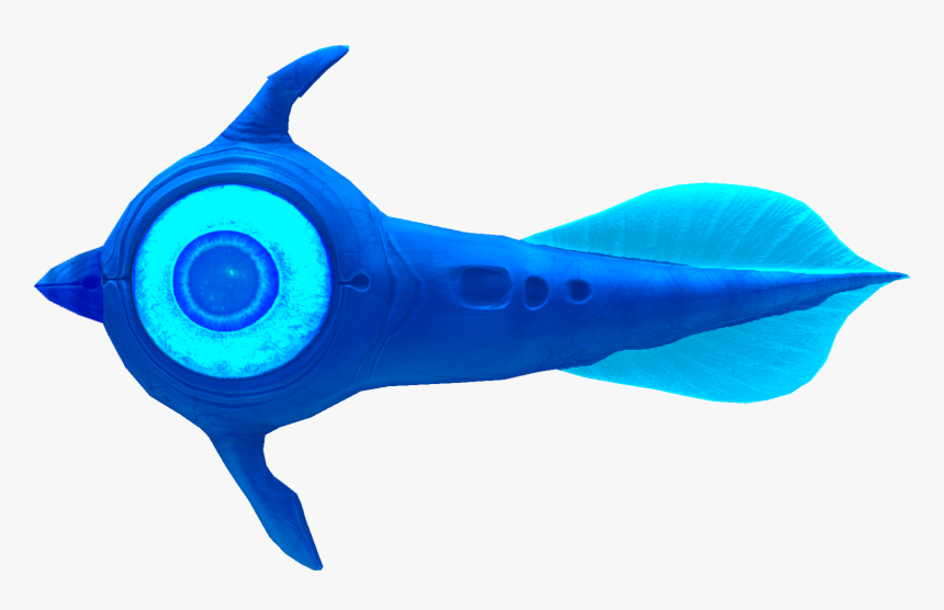 Dolphin, HD Png Download