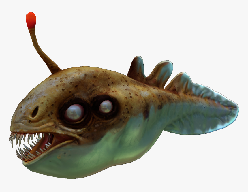 Deep Sea Fish, HD Png Download