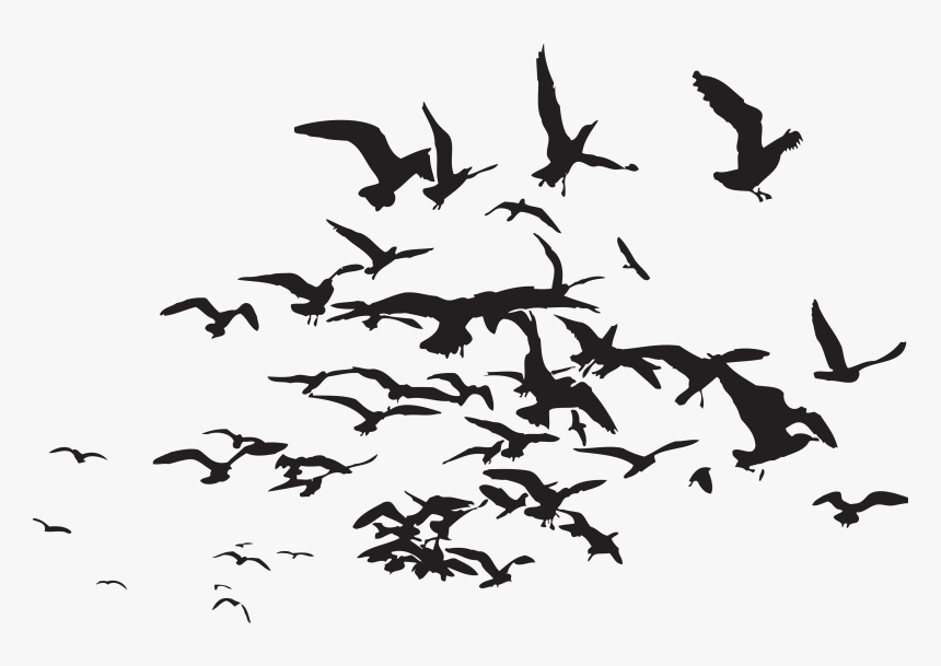 Shatter Me Series Desktop Wallpaper Unravel Me - Magpie Ice Cream Container, HD Png Download