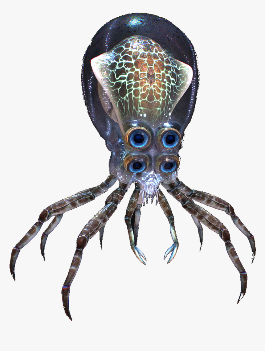 Subnautica Crab Squid , Png Download - Subnautica Crab Squid Drawn, Transparent Png