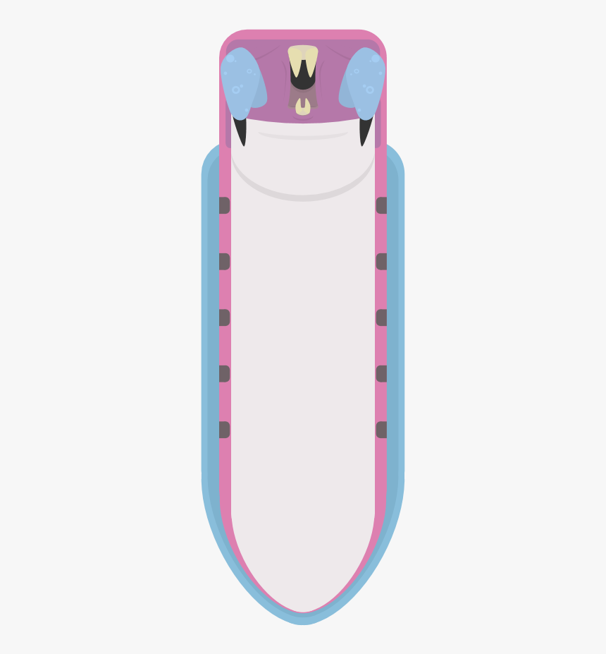 Iphone, HD Png Download