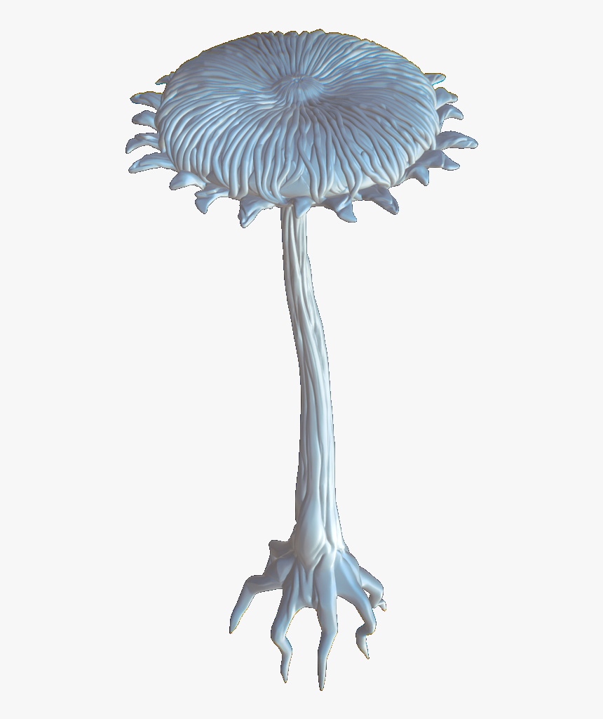 Transparent Lost Png - Borassus Flabellifer, Png Download