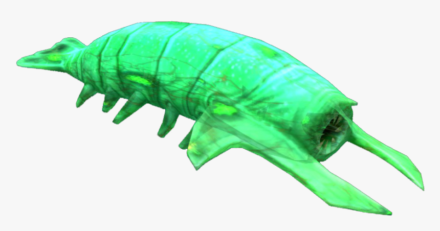 Infected Rockgrub Fauna - Rock Grub, HD Png Download