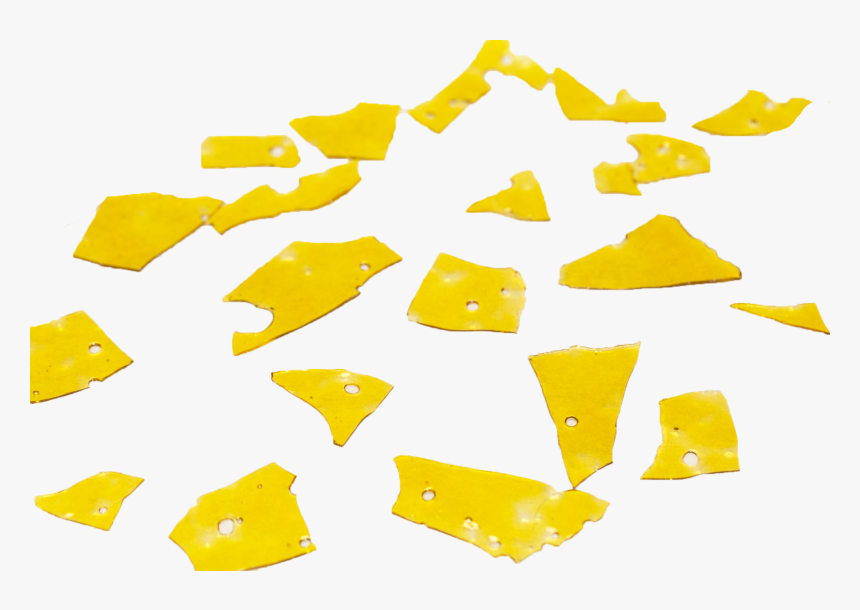 Maidenhair Tree, HD Png Download