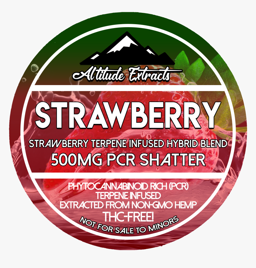 Canal 5 , Png Download - Circle, Transparent Png