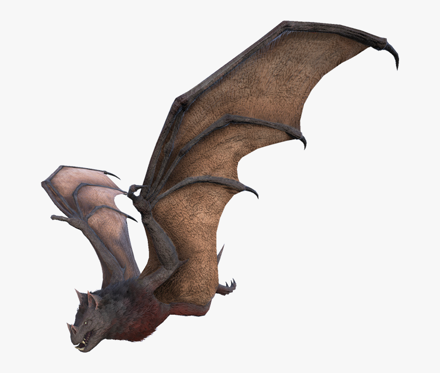 Onyc - Onyc Ark, HD Png Download