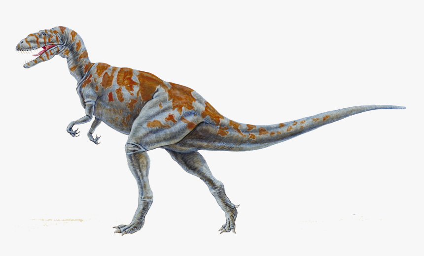 19 Transparent Dinosaur Megalosaurus Huge Freebie Download - Megalosaurus, HD Png Download