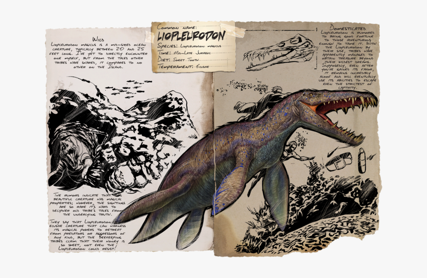 Liopleurodon Ark, HD Png Download