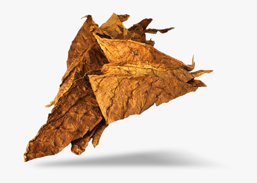 Tobacco Png Image - Principio Activo De Las Drogas, Transparent Png