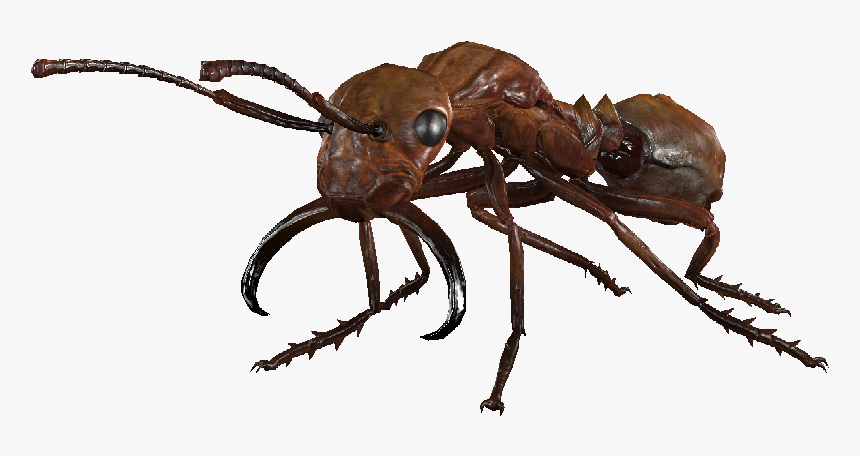 Dlc04 Encradant - Macro Photography, HD Png Download