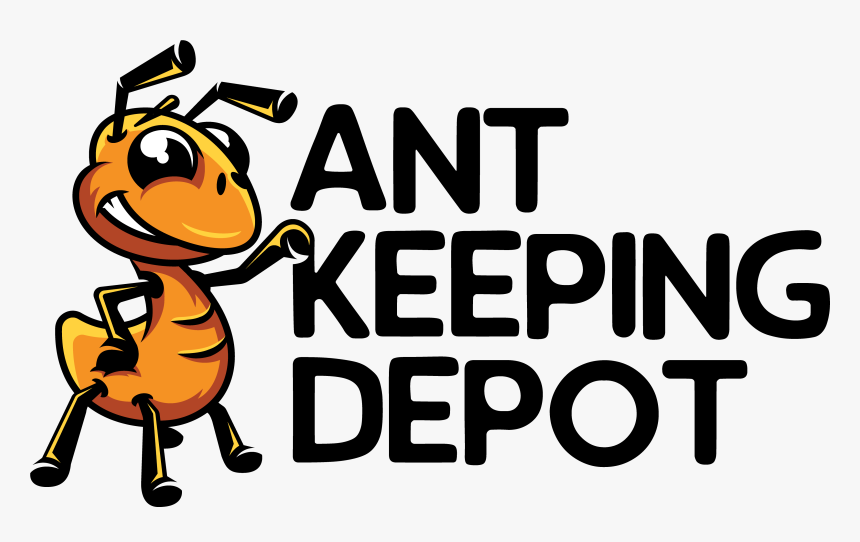 Logo Ant Football, HD Png Download