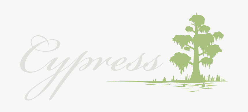 Cypress Pensacola $5 Happy Hour - Borassus Flabellifer, HD Png Download