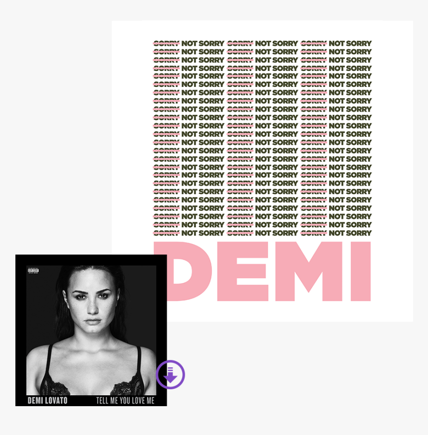 Demi Lovato Sorry Not Sorry Shirt, HD Png Download