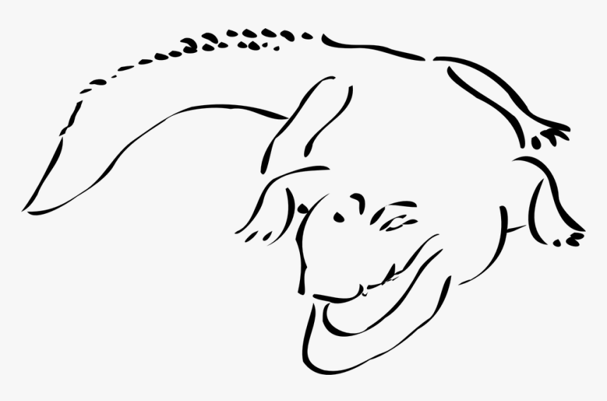 Alligator, Gator, Crocodile, Swamp, Dangerous, Wildlife - Crocodile Line Clip Art, HD Png Download