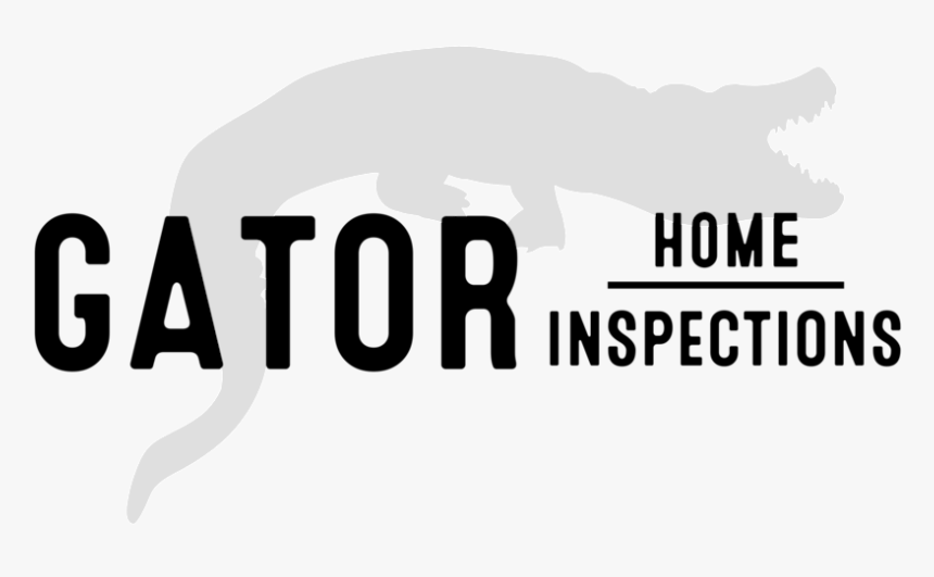 Gator Png, Transparent Png