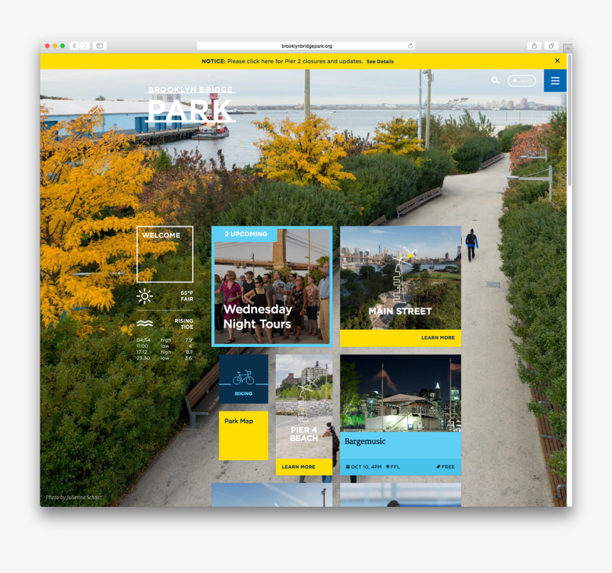 Tree, HD Png Download