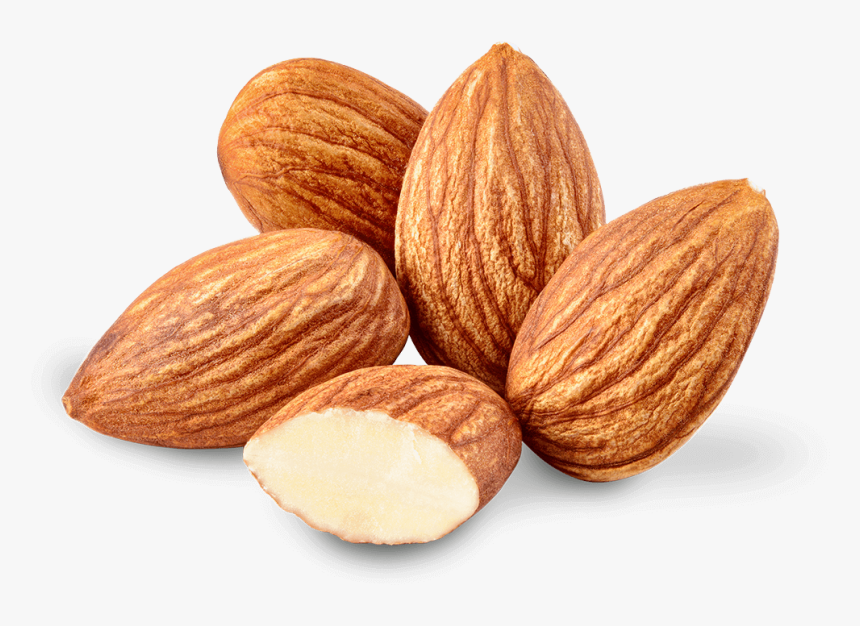 Almond Oil Nut Almond Oil Food - Transparent Almond Png, Png Download
