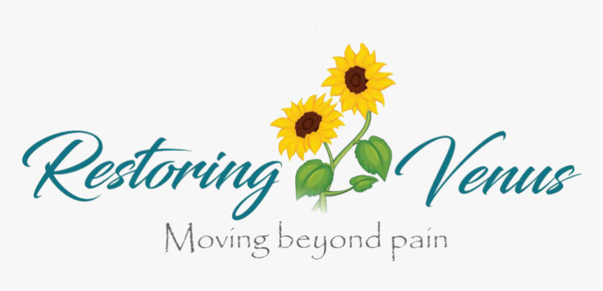 Restoring Venus Amy Eicher - Sunflower, HD Png Download