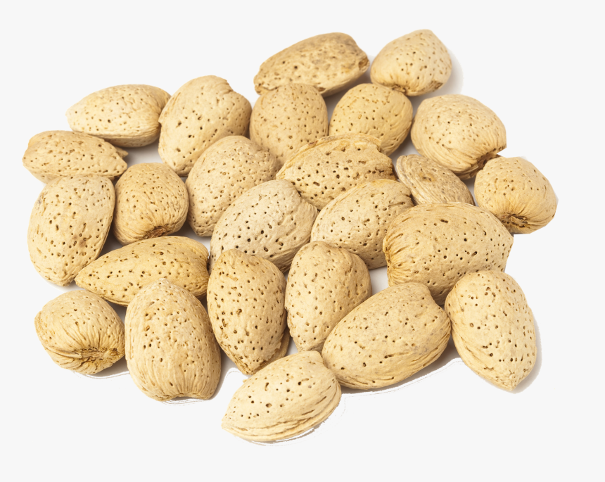 Almonds Png Royalty-free Image - Almond, Transparent Png