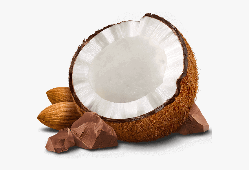Png Almond Vector - Coconut And Almond Png, Transparent Png