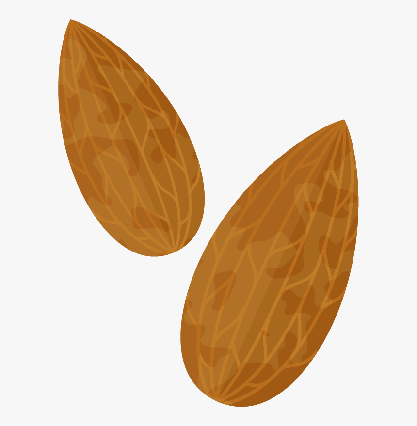 Almond Png Transparent Free - Png Almond Clipart, Png Download