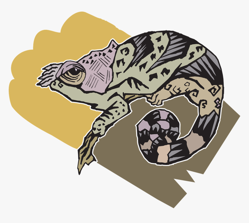 Stylized Style Chameleon Free Picture - Стилизованный Хамелеон, HD Png Download