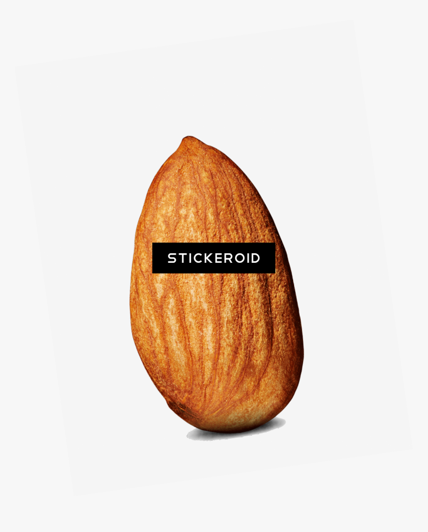 Single Almond Png - Almond, Transparent Png