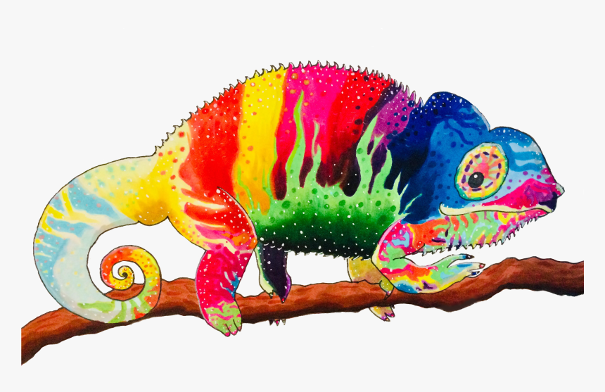 Common Chameleon, HD Png Download