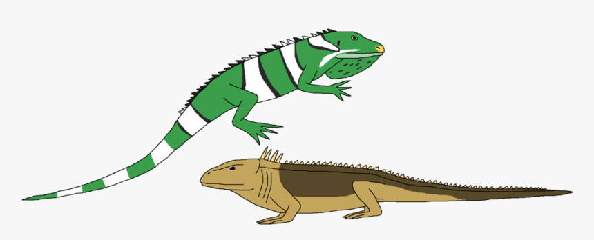 Iguana Clipart Real - Chameleon, HD Png Download