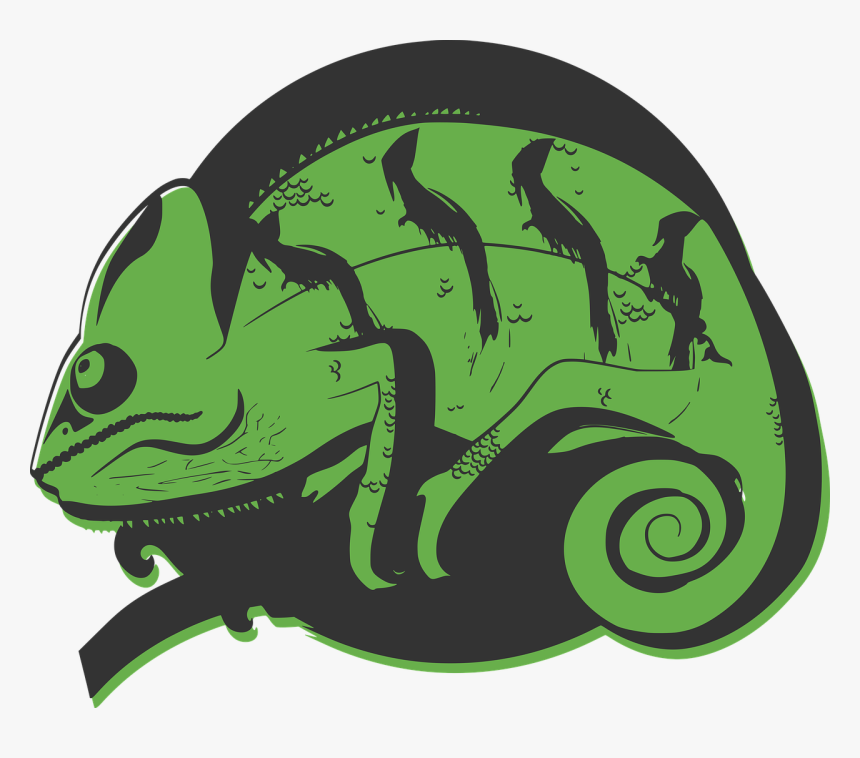 Camaleao Illustration, HD Png Download
