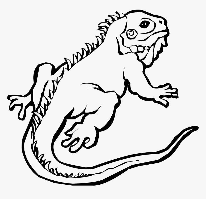 Chameleon Clipart Iguana - Iguana Clipart Black And White, HD Png Download