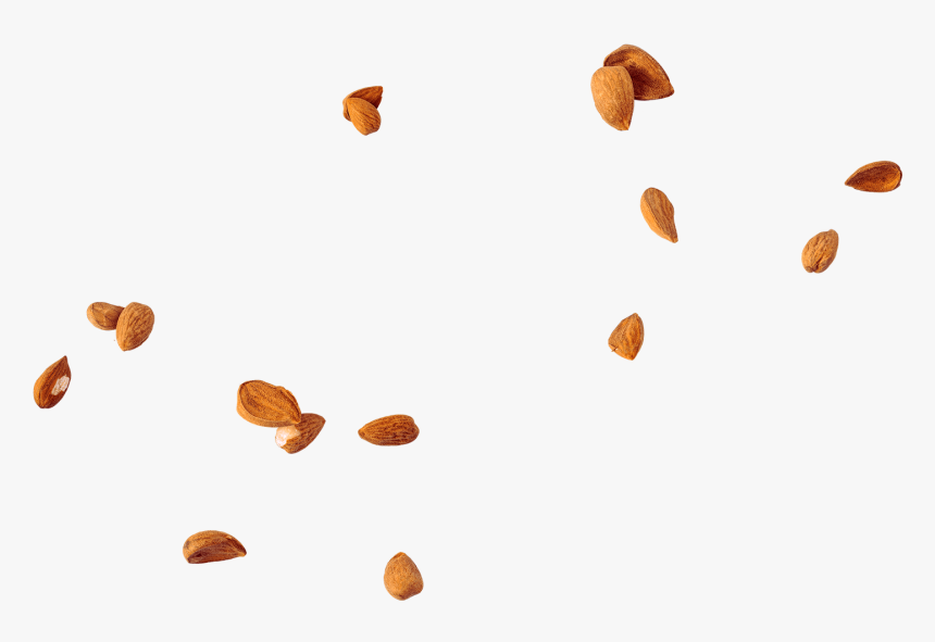 Sgusciate1 - Almond, HD Png Download