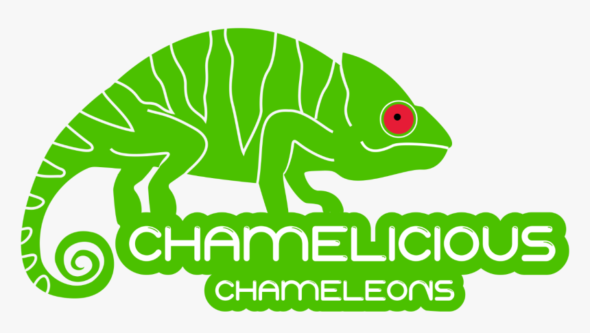 Chameleon, HD Png Download