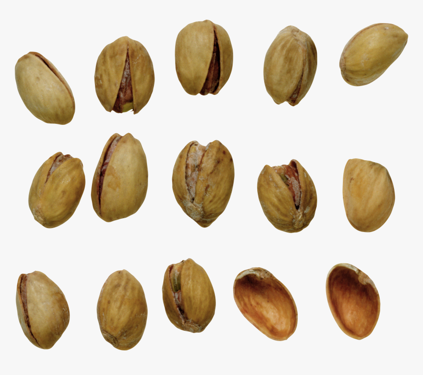 Pistachios Png, Download Png Image With Transparent - Pistachio, Png Download