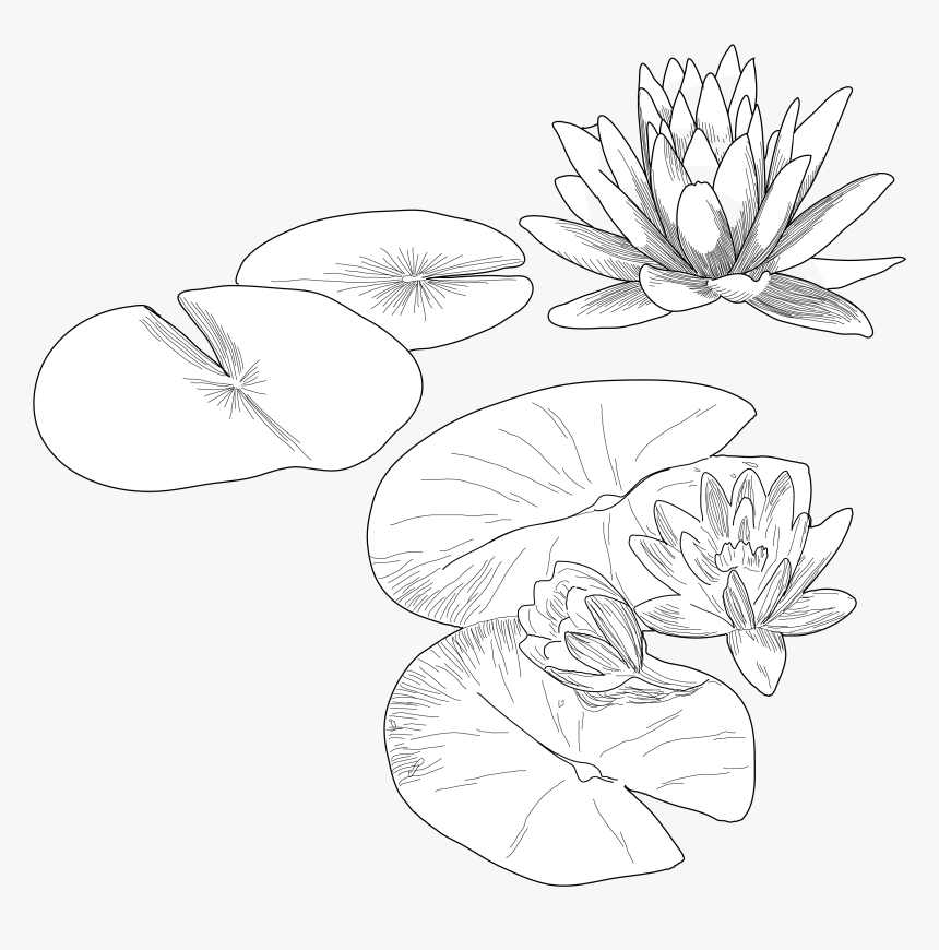 Drawing, HD Png Download