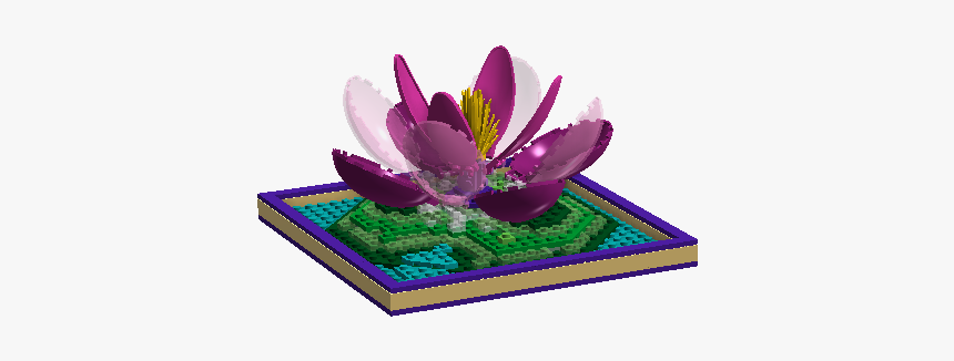Water Lily, HD Png Download