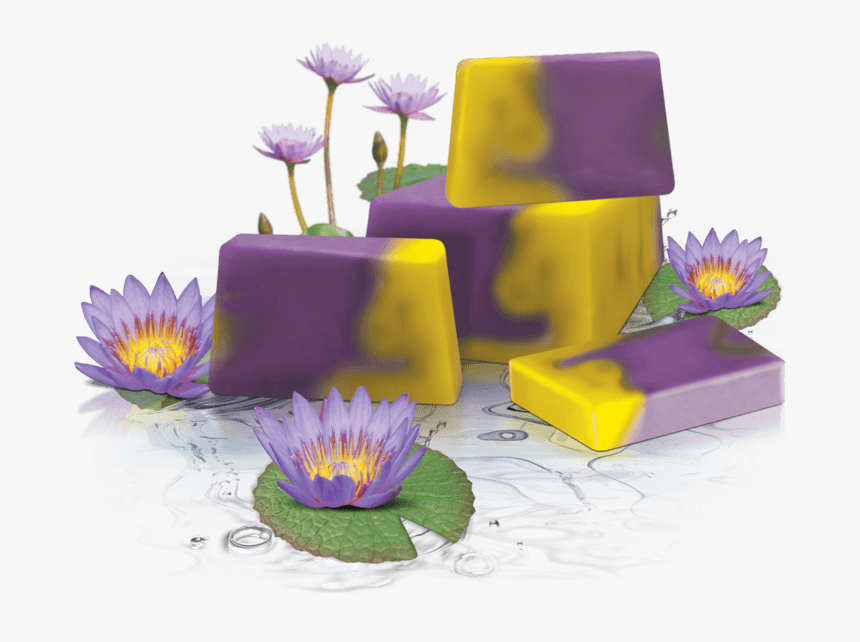 Handmade Glycerin Soap - Water Lily, HD Png Download