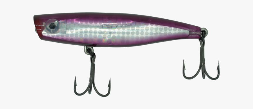 Beloniformes, HD Png Download