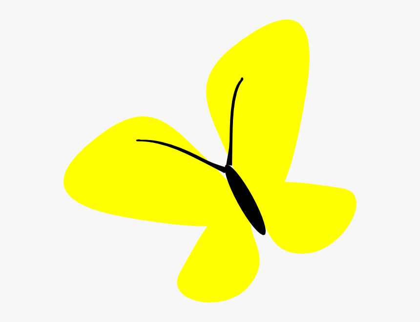 Insect, HD Png Download